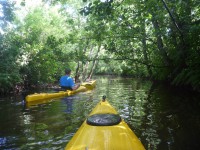 /album/bildgalleri1/a1147711-10151740223427182-1087532286-o-1-jpg/